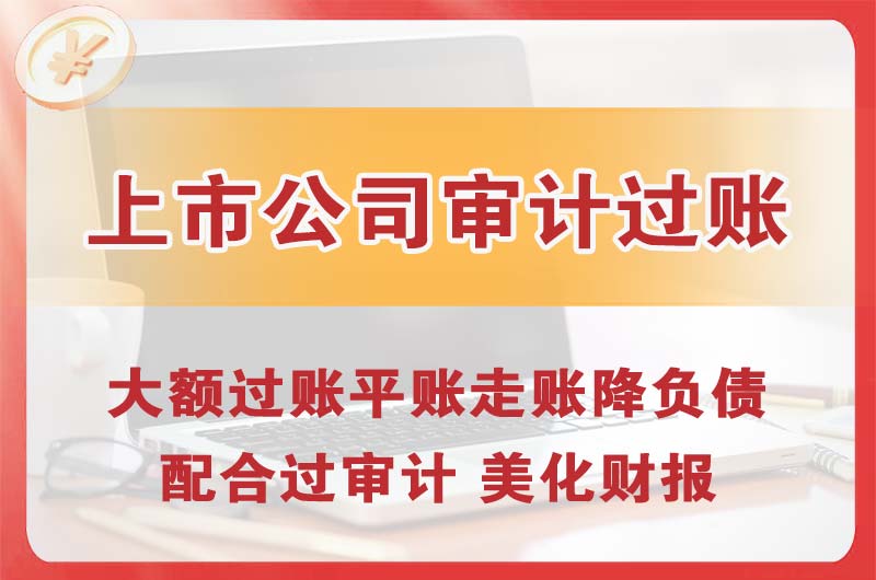 惠东上市公司审计过账